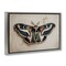 Stupell Industries Dark Winged Moth Framed Floater Canvas Wall Art Design by Petal Prints Design